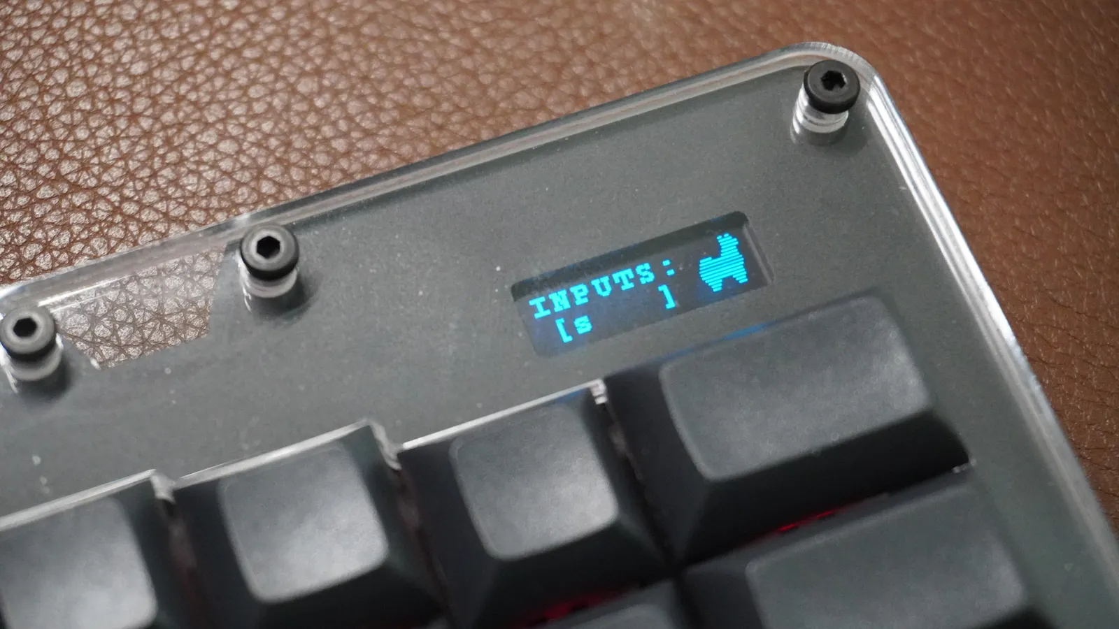 Close-up of the ErgoDox 76 Hot Dox V2 right-half screen showing recent keypresses under INPUTS