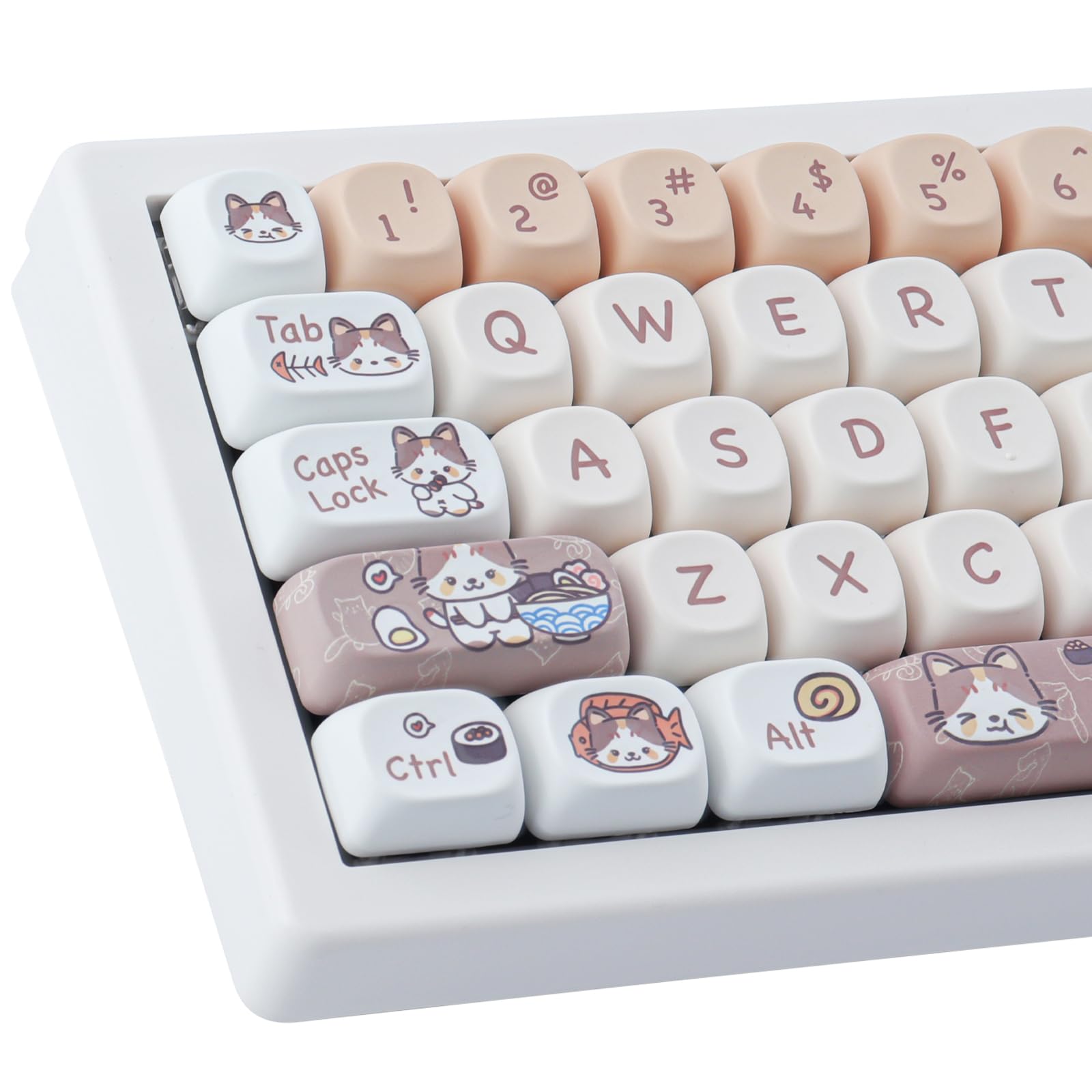 Kitty Cat Anime PBT