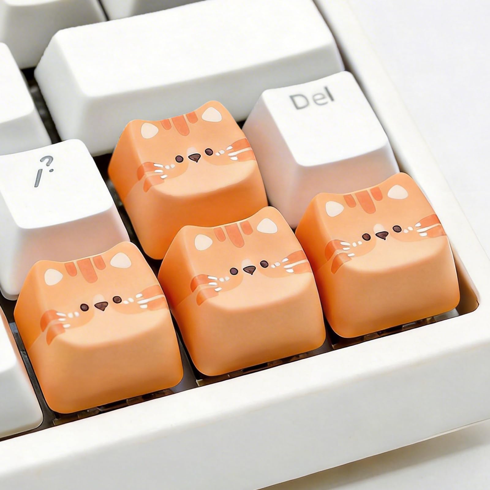 Tapbloom Artisan Cat